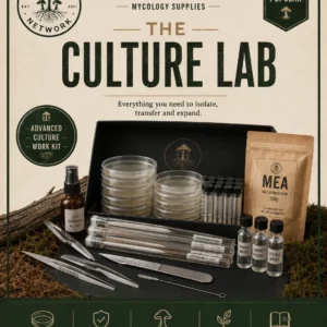 The Culture Lab